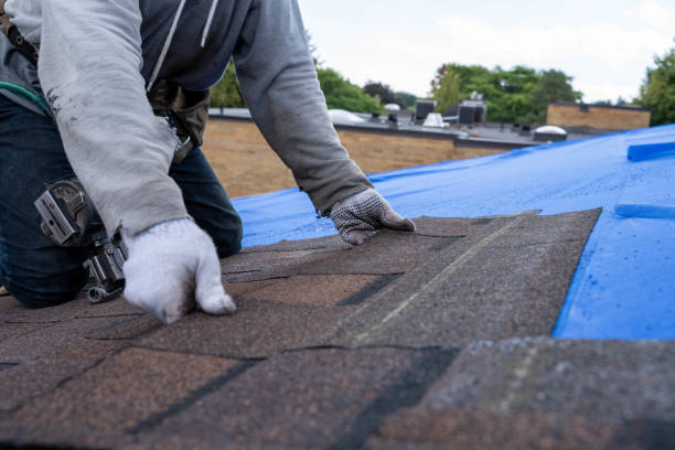 Best Metal Roofing Contractor  in Moscow, ID
